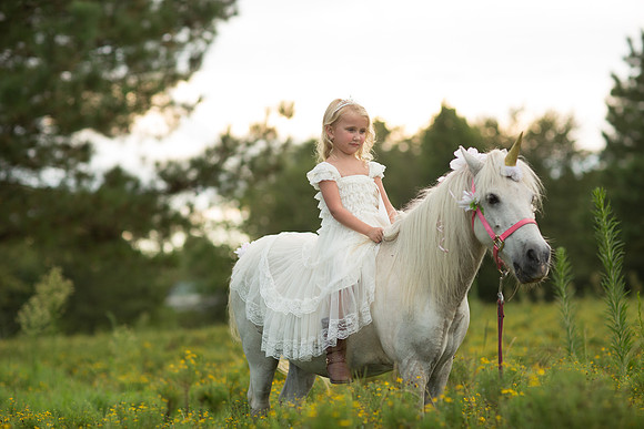 Jennifer B Photography-Unicorn shoot 2016-56