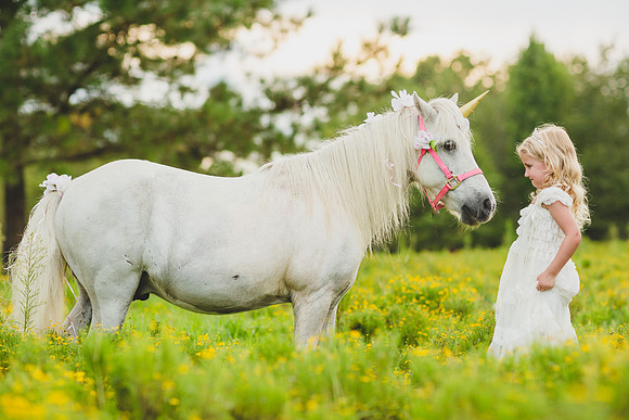 Jennifer B Photography-Unicorn shoot 2016-45
