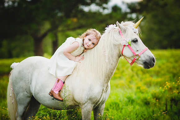 Jennifer B Photography-Unicorn shoot 2016-36