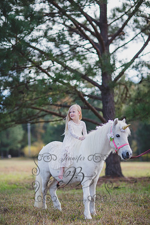 Jennifer B. Photography-Unicorn 5-14