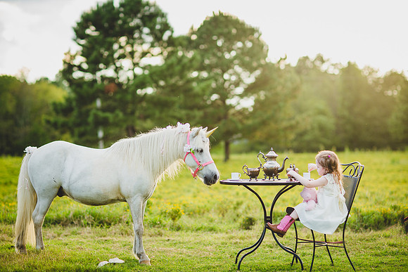 Jennifer B Photography-Unicorn shoot 2016-81