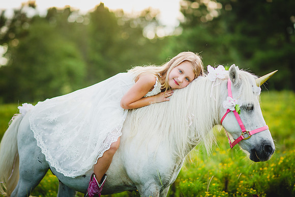 Jennifer B Photography-Unicorn shoot 2016-74