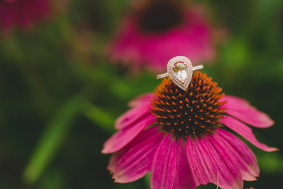 Jennifer B Photography-Weymouth Gardens M&A Proposal 2016-90