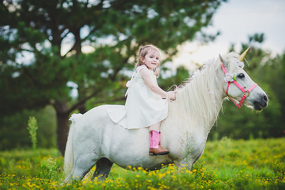 Jennifer B Photography-Unicorn shoot 2016-33