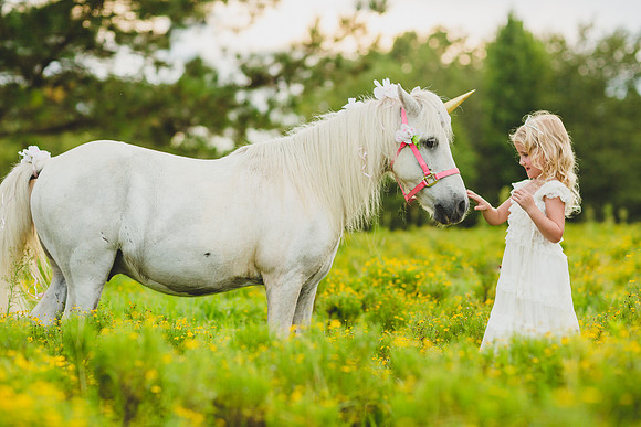 Jennifer B Photography-Unicorn shoot 2016-43