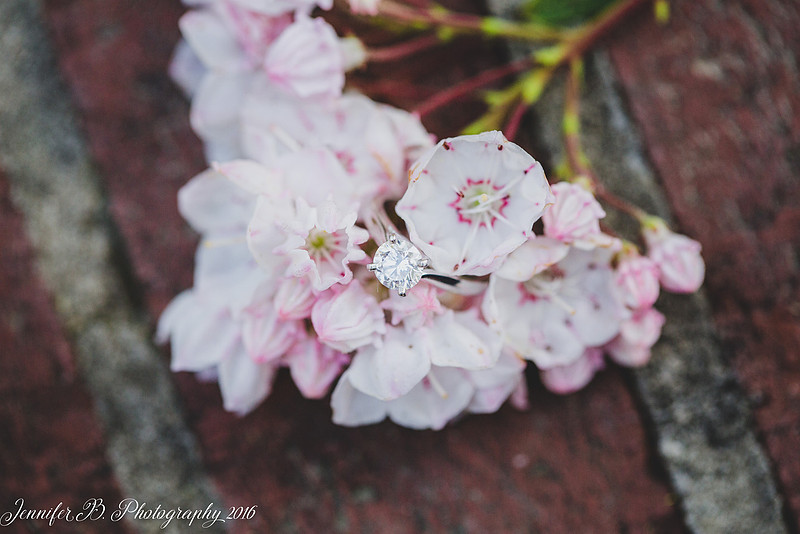 Jennifer B Photography- Preview photos-17