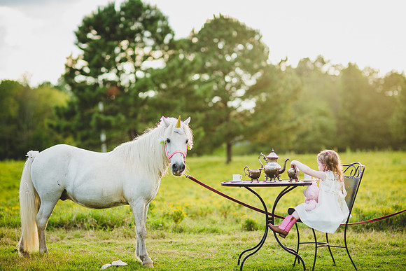Jennifer B Photography-Unicorn shoot 2016-83