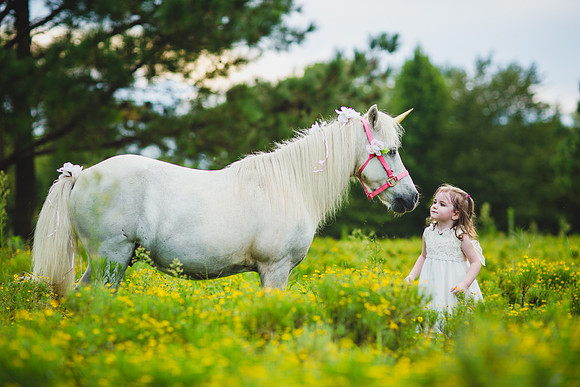 Jennifer B Photography-Unicorn shoot 2016-28