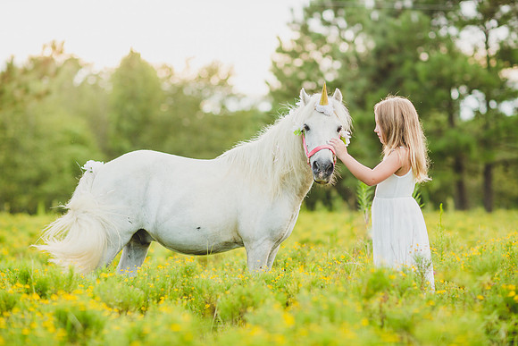 Jennifer B Photography-Unicorn shoot 2016-68