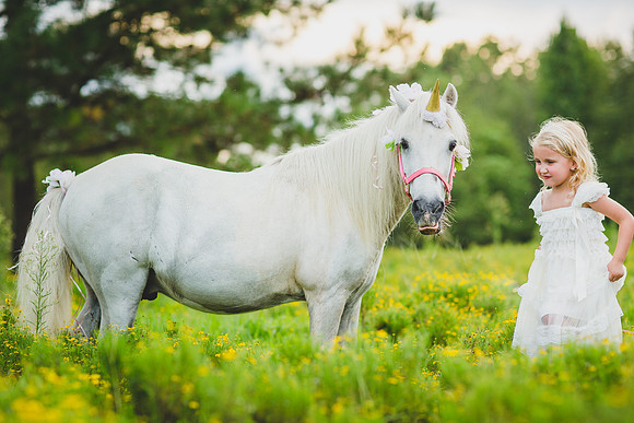 Jennifer B Photography-Unicorn shoot 2016-47