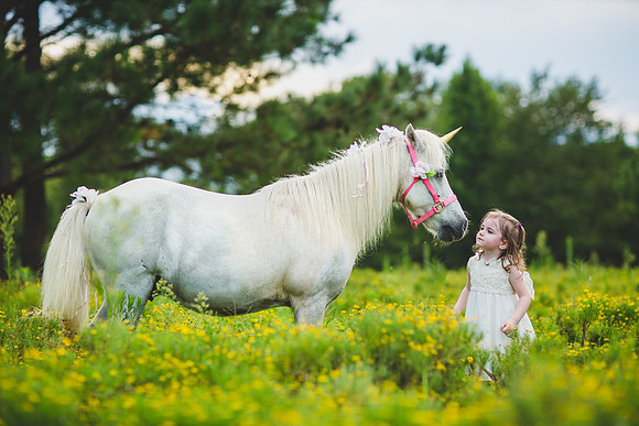 Jennifer B Photography-Unicorn shoot 2016-27