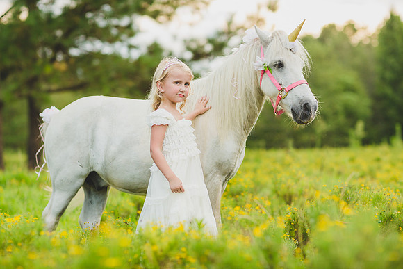 Jennifer B Photography-Unicorn shoot 2016-49