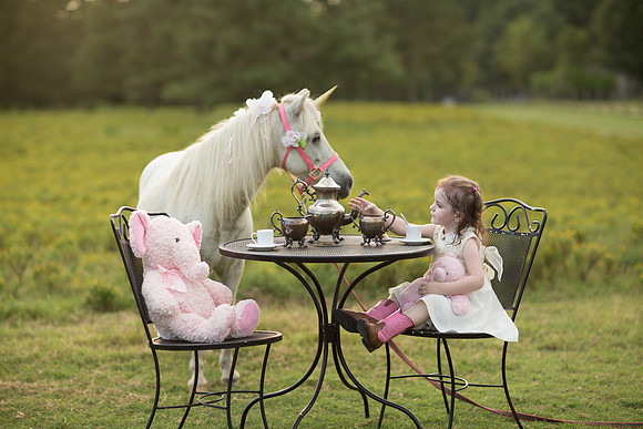 Jennifer B Photography-Unicorn shoot 2016-78