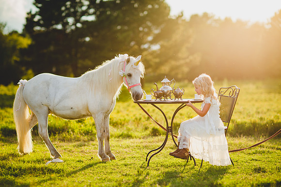 Jennifer B Photography-Unicorn shoot 2016-101