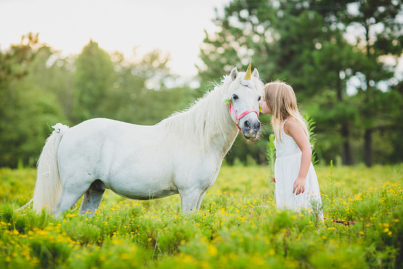 Jennifer B Photography-Unicorn shoot 2016-65