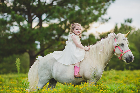 Jennifer B Photography-Unicorn shoot 2016-32