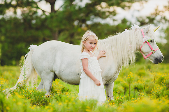 Jennifer B Photography-Unicorn shoot 2016-42