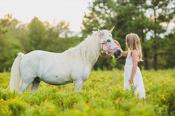 Jennifer B Photography-Unicorn shoot 2016-64