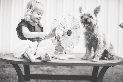 Jennifer B Photography-Thorton Family portrait 2016-90