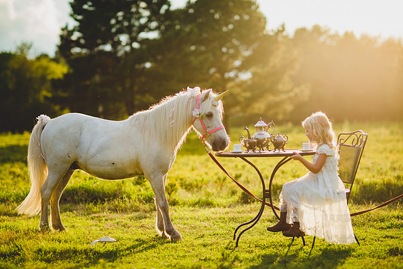 Jennifer B Photography-Unicorn shoot 2016-103