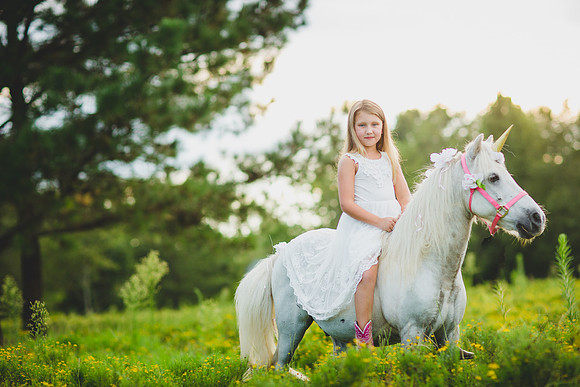 Jennifer B Photography-Unicorn shoot 2016-71
