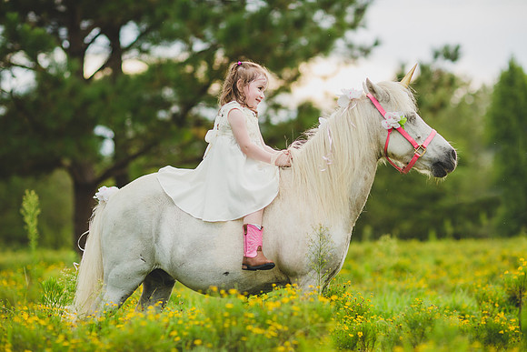 Jennifer B Photography-Unicorn shoot 2016-30