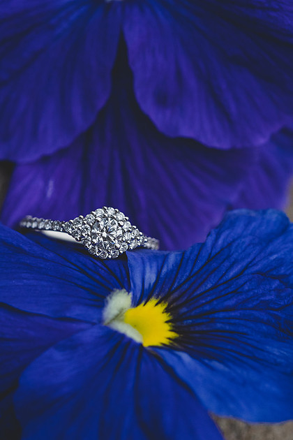 Jennifer B Photography-Christian & Kayla 2016-75