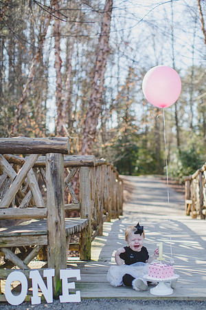 Jennifer B photography-One year old cutie - 27