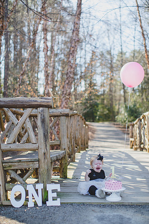 Jennifer B photography-One year old cutie - 28
