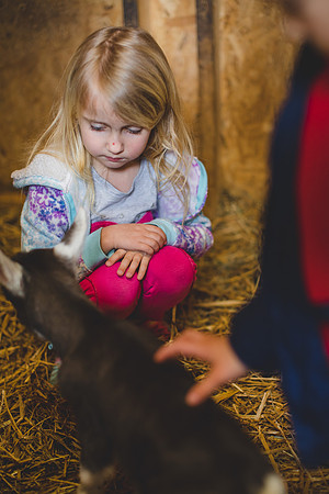 Jennifer B Photography-new goat-0001