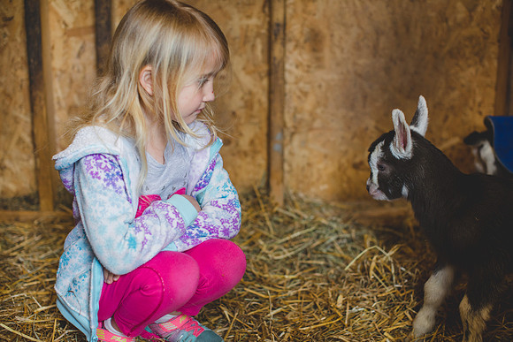 Jennifer B Photography-new goat-0003