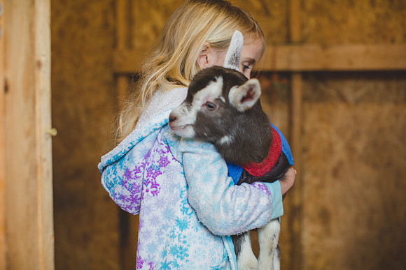Jennifer B Photography-new goat-0005