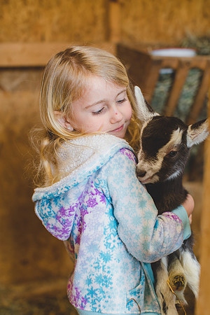 Jennifer B Photography-new goat-0006