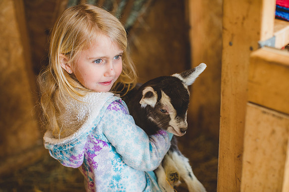 Jennifer B Photography-new goat-0007