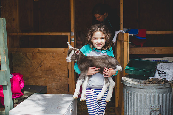 Jennifer B Photography-new goat-0011