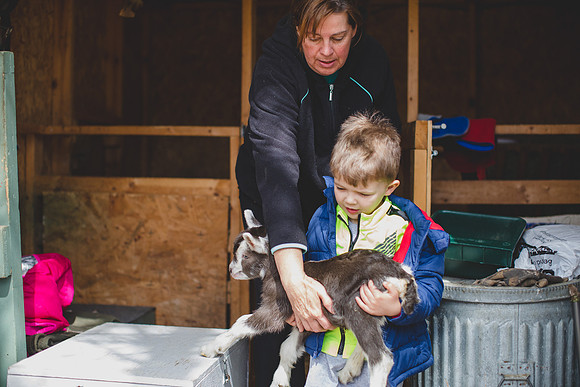 Jennifer B Photography-new goat-0012