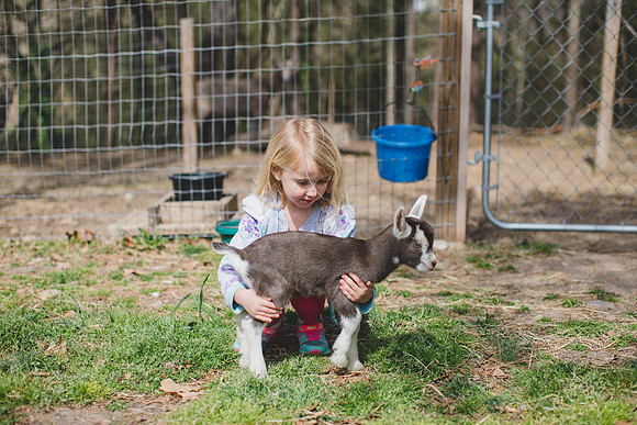 Jennifer B Photography-new goat-0013