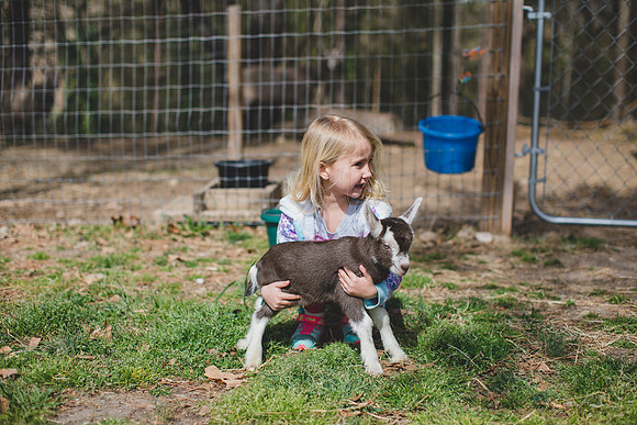 Jennifer B Photography-new goat-0014