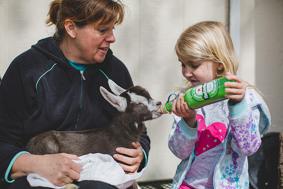 Jennifer B Photography-new goat-0015