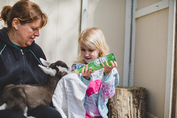 Jennifer B Photography-new goat-0018