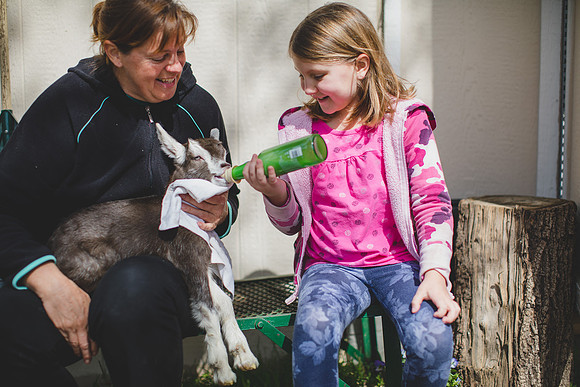 Jennifer B Photography-new goat-0020