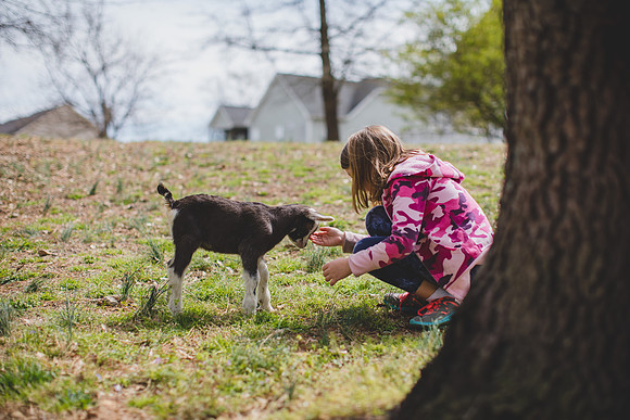 Jennifer B Photography-new goat-0038