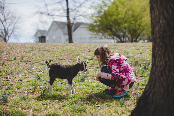 Jennifer B Photography-new goat-0039