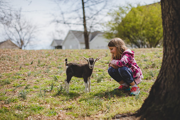 Jennifer B Photography-new goat-0040