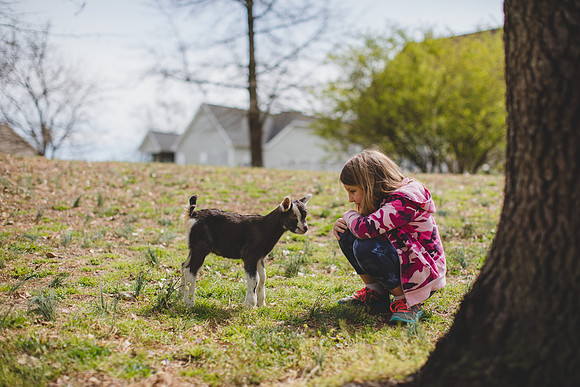 Jennifer B Photography-new goat-0041