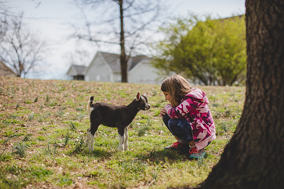 Jennifer B Photography-new goat-0042