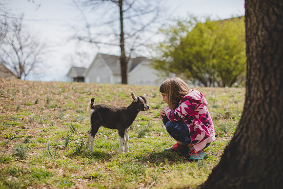 Jennifer B Photography-new goat-0043