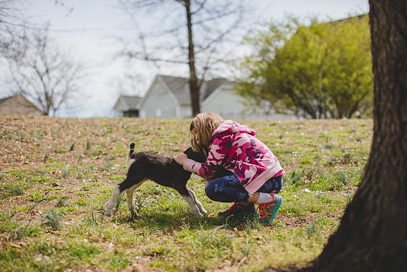 Jennifer B Photography-new goat-0044