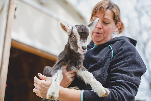 Jennifer B Photography-new goat-0047
