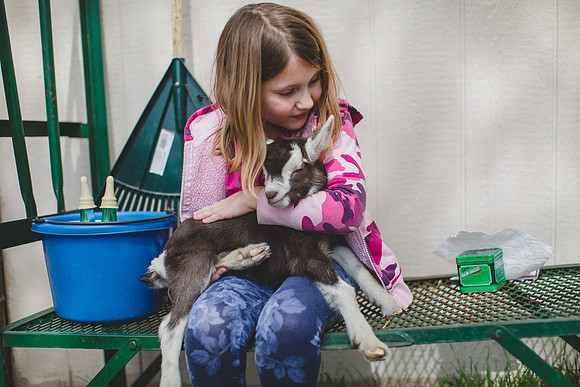 Jennifer B Photography-new goat-0046